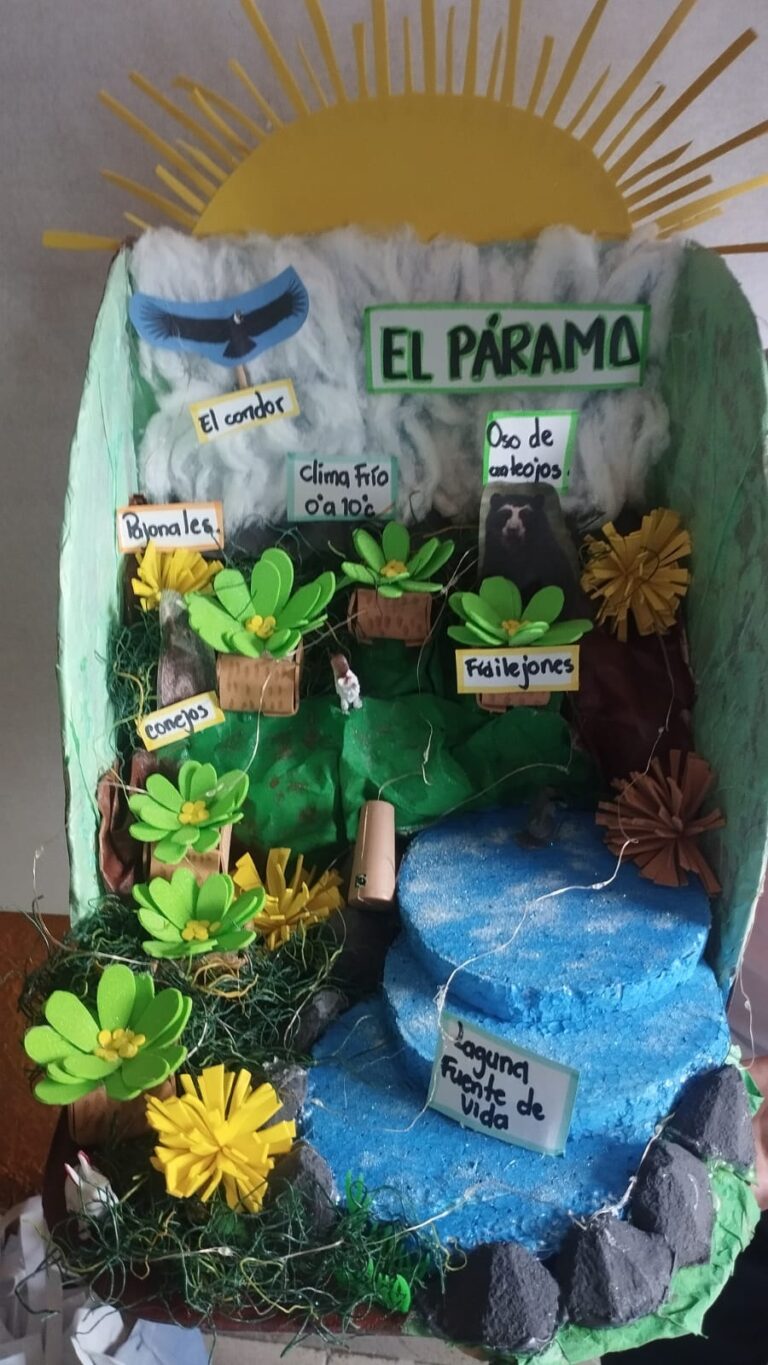 WhatsApp Image 2026-04-29 at 8.18.47 AM